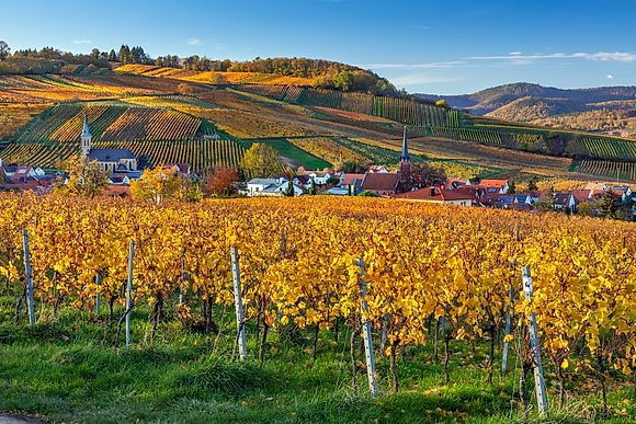 German Wine Route – about 85 kilometres through the Palatinate 