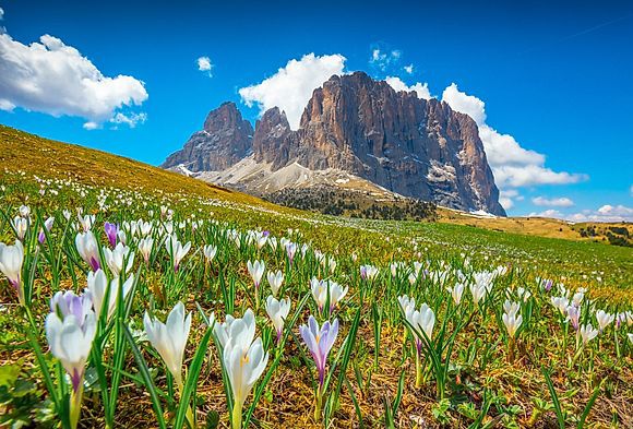 When the temperatures rise - spring in South Tyrol 