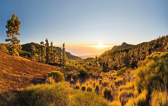Tenerife - is a year-round paradise for active vacationers and sun worshipers 