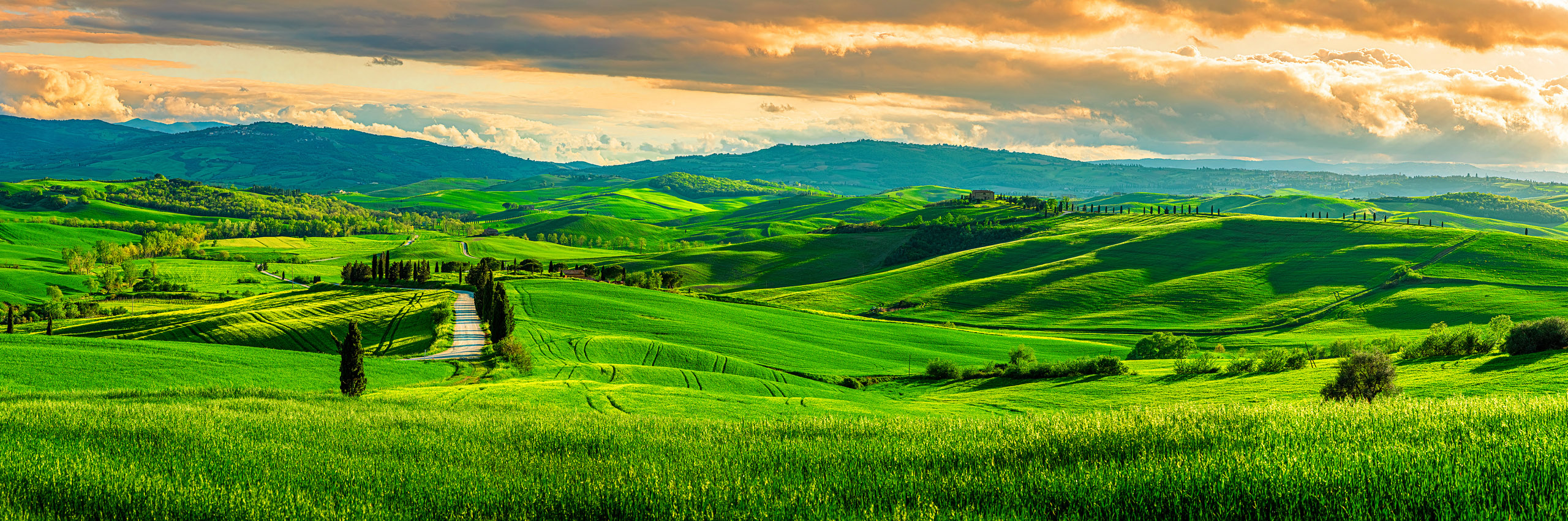 41148799 | Italy/Tuscany, Siena district, Orcia Valley, Pienza | © Paolo Evangelista/HUBER IMAGES